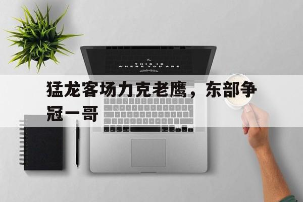 od体育官网app-猛龙客场力克老鹰，东部争冠一哥