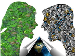 od体育官方平台入口-基层足球发展如何打破资源壁垒，足球如何突破  第3张