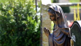 od体育官网app-女子200蝶划水幅度：中国略占上风，女子200米蝶泳决赛视频保存到相册里  第3张