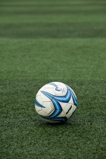 od体育在线-校园足球项目考核标准缺乏可复制性,校园足球项目绩效自评报告 第3张